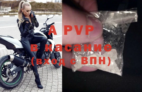 твердый Аркадак