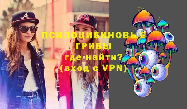 твердый Аркадак