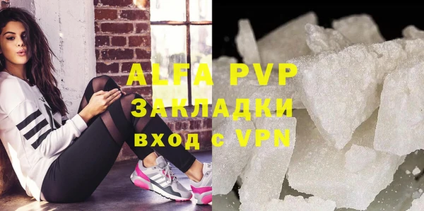 твердый Аркадак